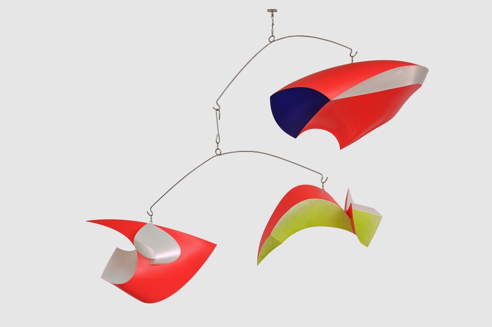 Flying Colours by Samara Adamson-Pinczewski